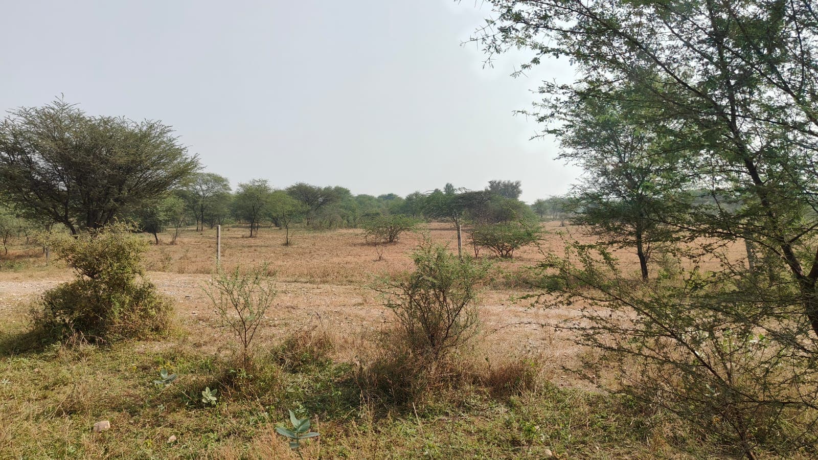 200 square yard, JDA, West, Residential plot is available for sale at Jagatpura — photo 1
