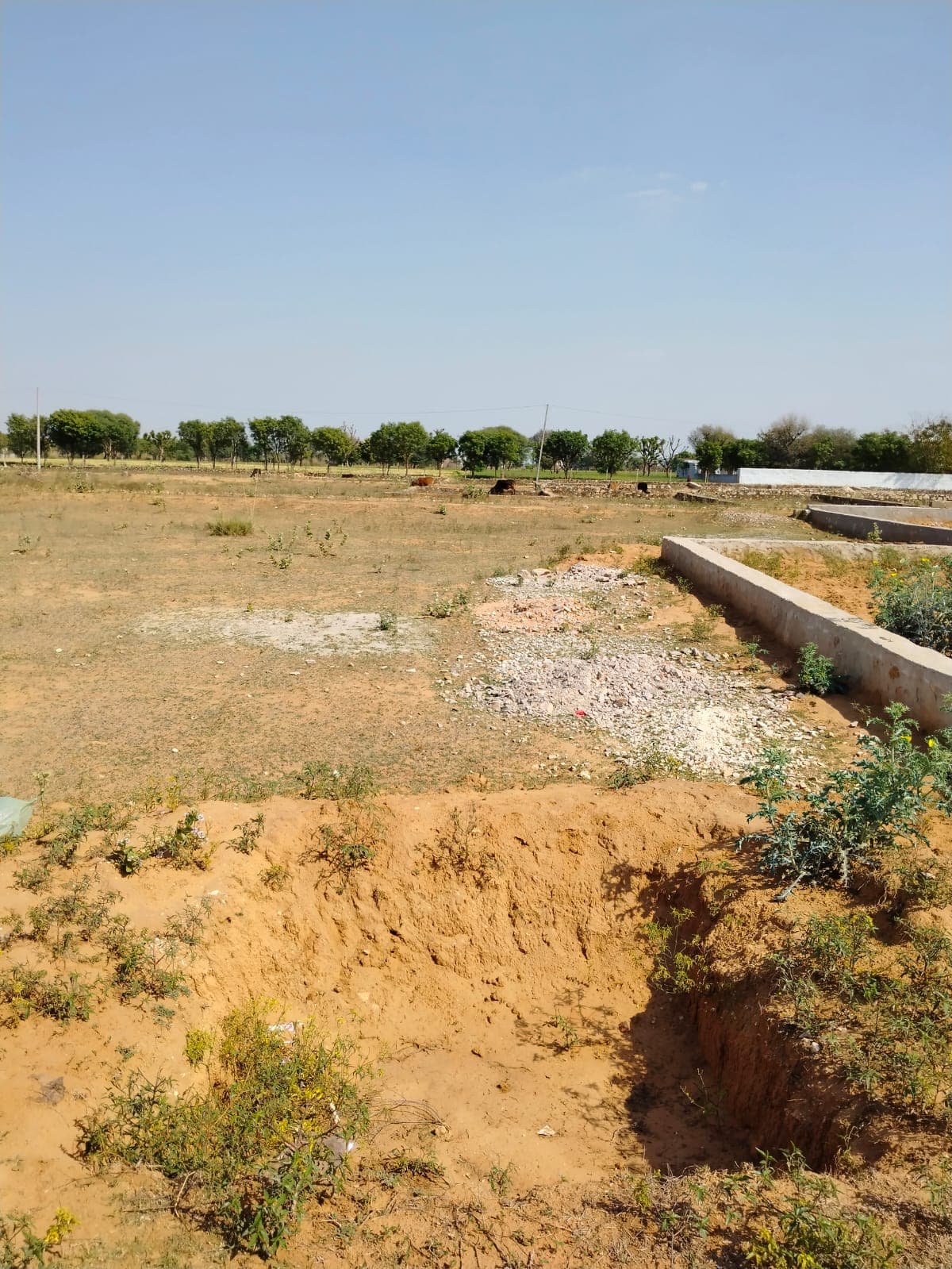 269 square yard, JDA, East, Residential plot is available for sale at Jagatpura — photo 1