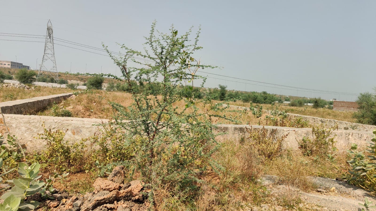 1250 square meter, JDA, North'South, Commercial plot is available for sale at Ring Road — photo 1
