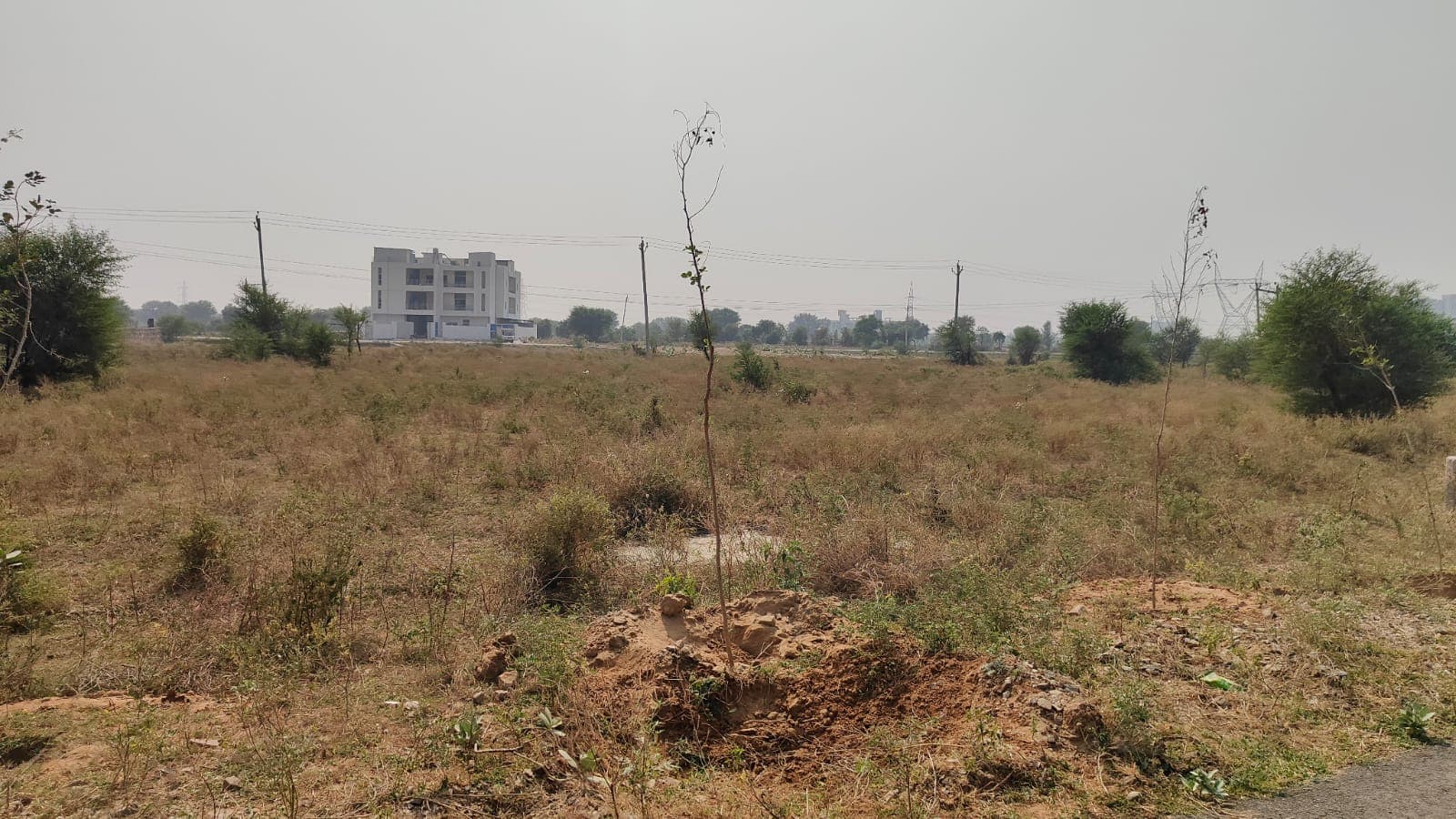 500 square yard, JDA, West, Residential plot is available for sale at Jagatpura — photo 1