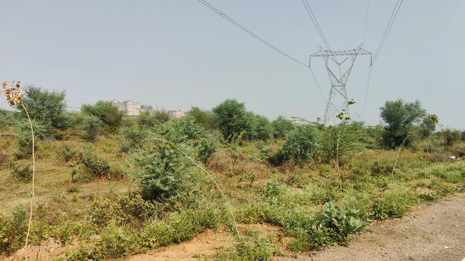 138 square yard, JDA, West, Commercial plot is available for sale at Jagatpura — photo 1