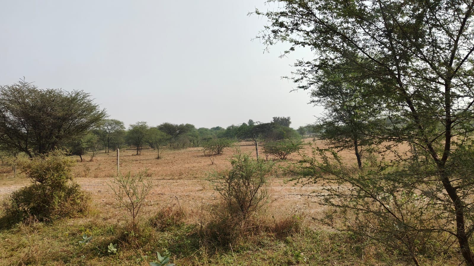 88 square yard, JDA, south, Commercial plot is available for sale at Jagatpura — photo 1
