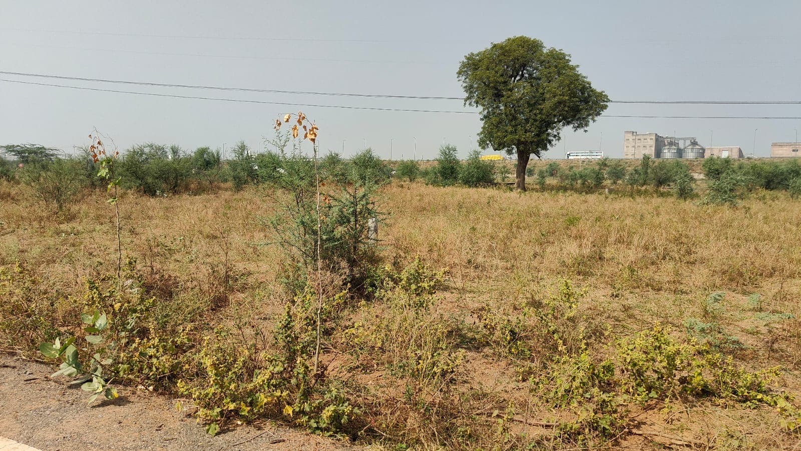 150 square feet, JDA, North, Commercial plot is available for sale at Jagatpura — photo 1