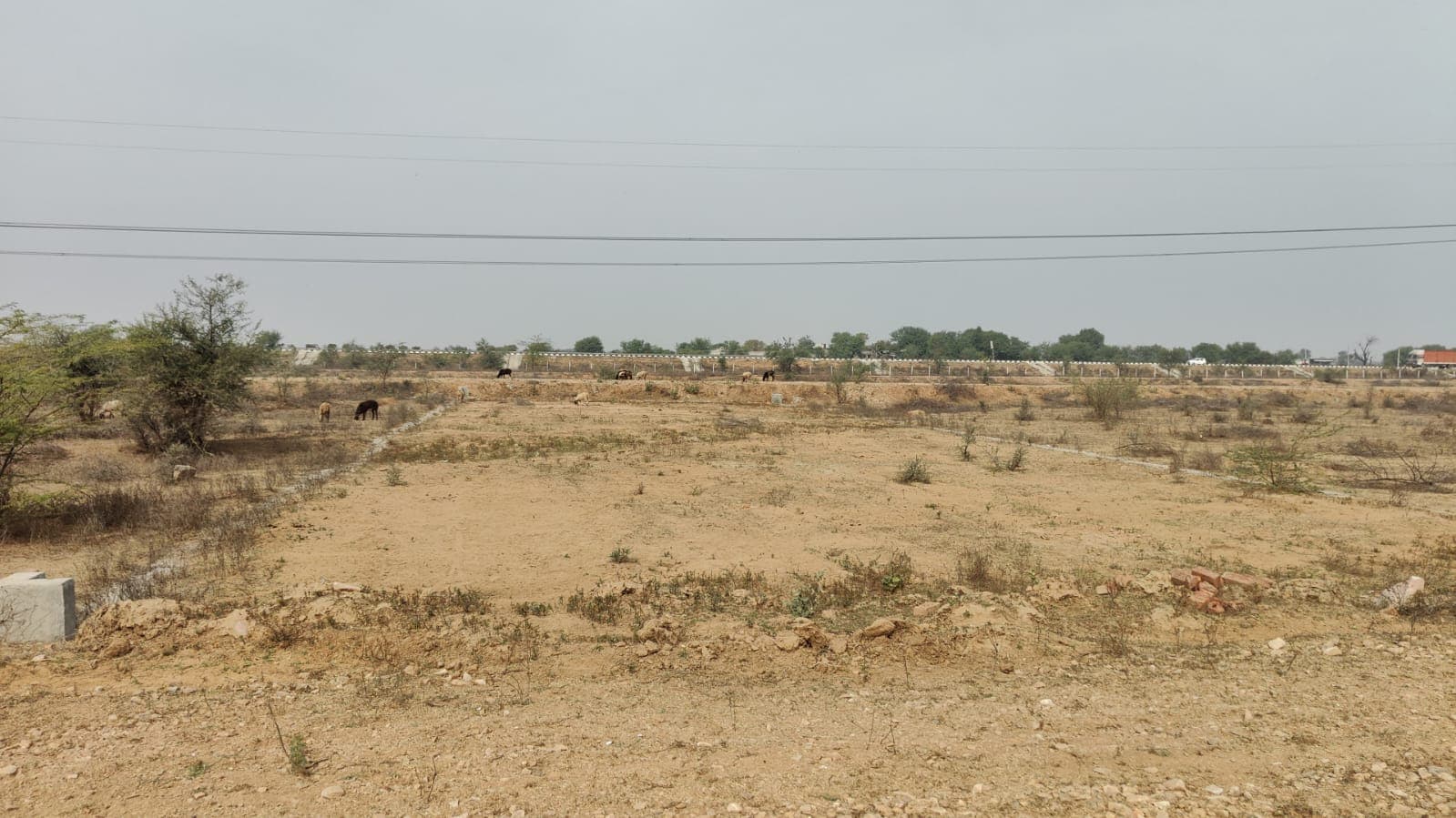 1666 square yard, JDA, East West, Commercial plot is available for sale at Jagatpura — photo 1