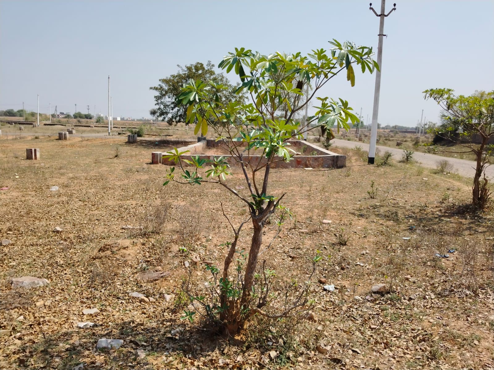 485 square yard, RHB, North West, Commercial plot is available for sale at Malviya Nagar — photo 1