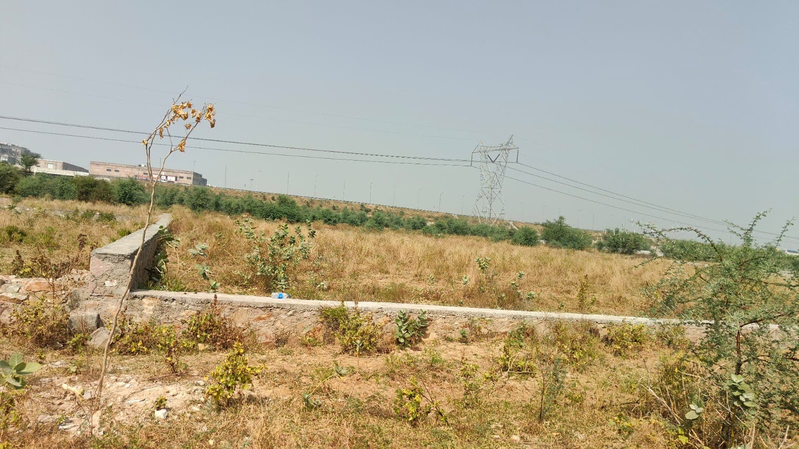 450 square yard, JDA, South East, Commercial plot is available for sale at Jagatpura — photo 1