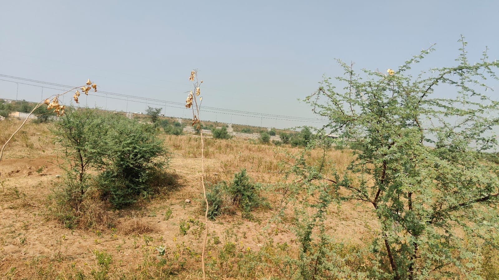 627 square meter, JDA, South, Residential plot is available for sale at Ring Road — photo 1