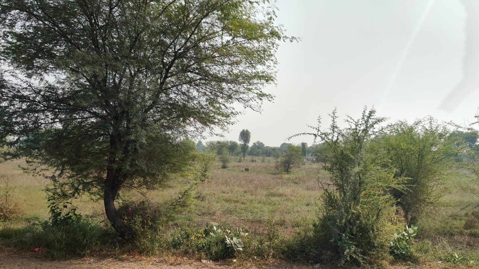 283 square yard, RHB, East, Residential plot is available for sale at Indira Gandhi Nagar