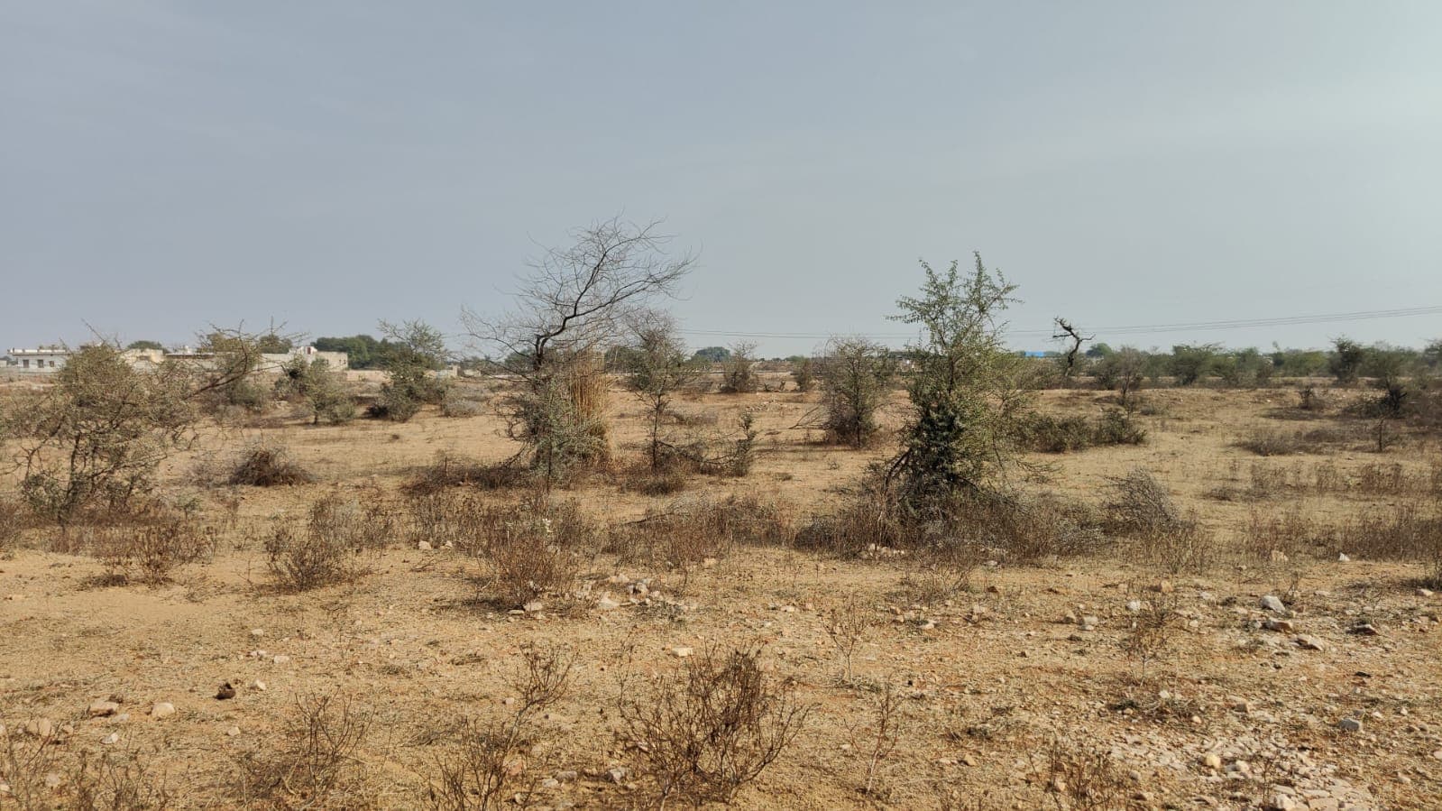 309 square yard, JDA, East, Commercial plot is available for sale at Jagatpura — photo 1