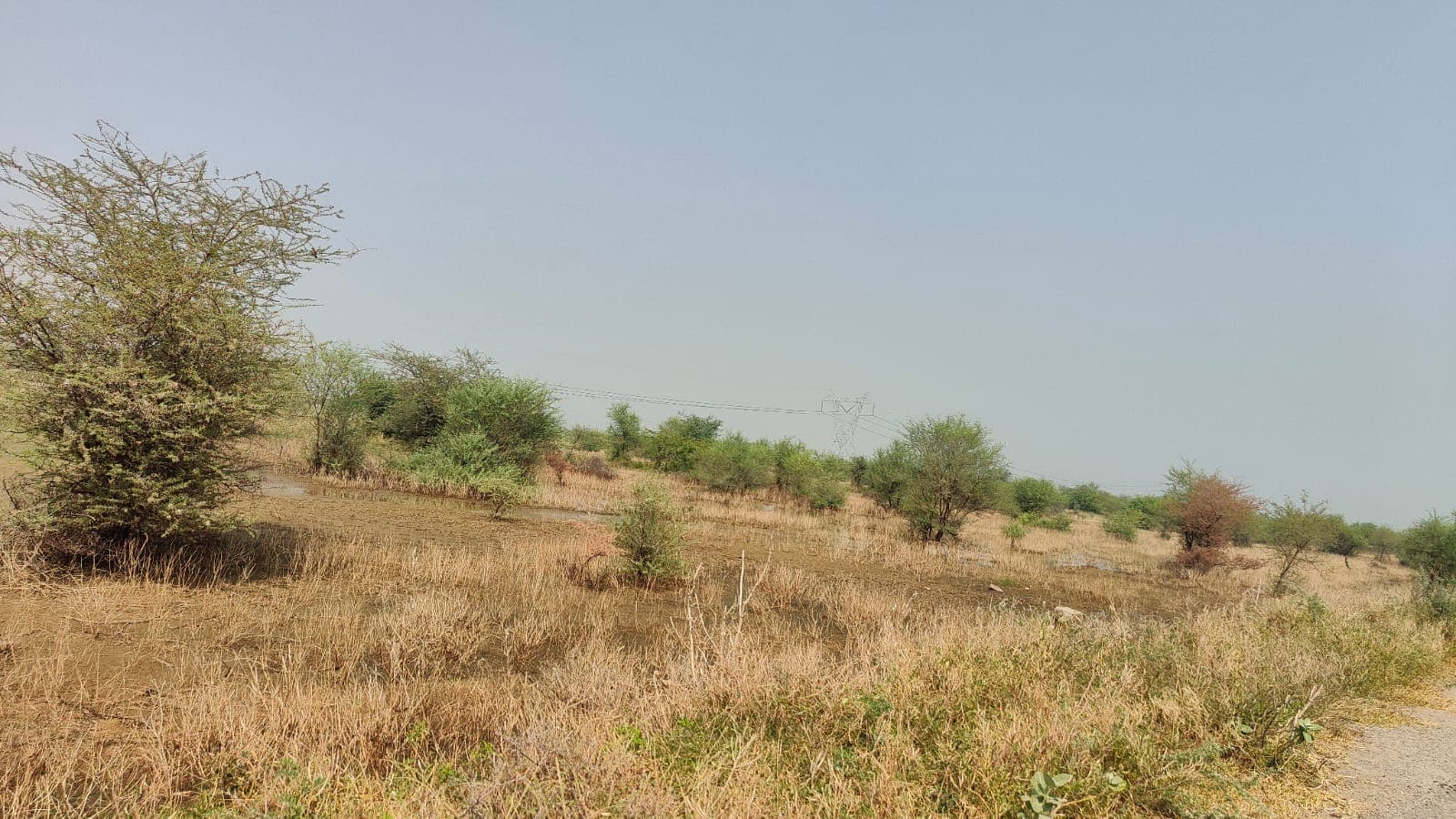 138 square yard, JDA, West, Residential plot is available for sale at Jagatpura — photo 1