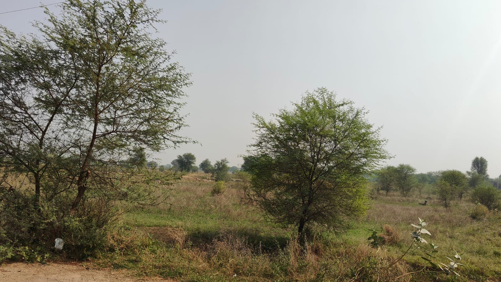 505 square yard, JDA, North, Residential  plot is available for sale at Jagatpura
