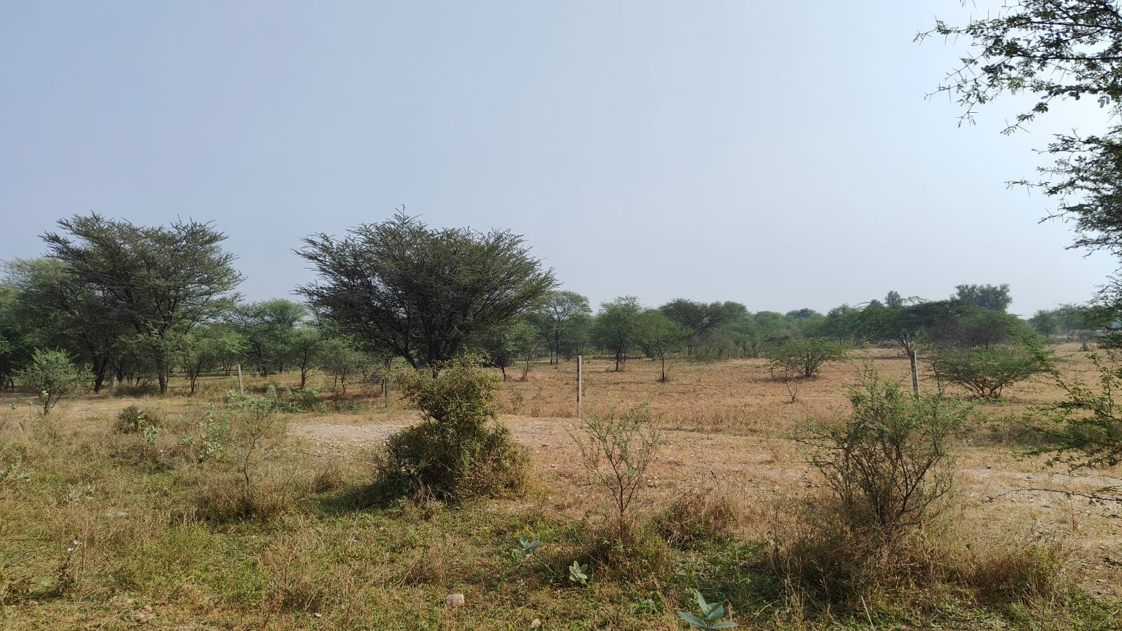 460 square yard, JDA, South West, Residential plot is available for sale at Jagatpura — photo 1