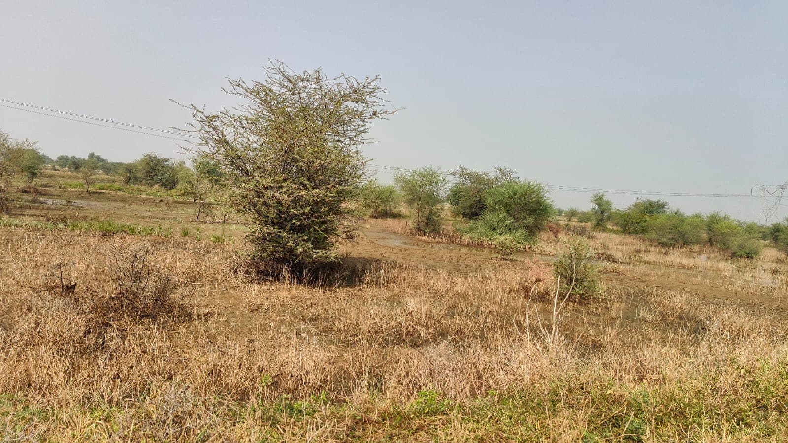 194 square yard, JDA, West, Residential plot is available for sale at Jagatpura — photo 1