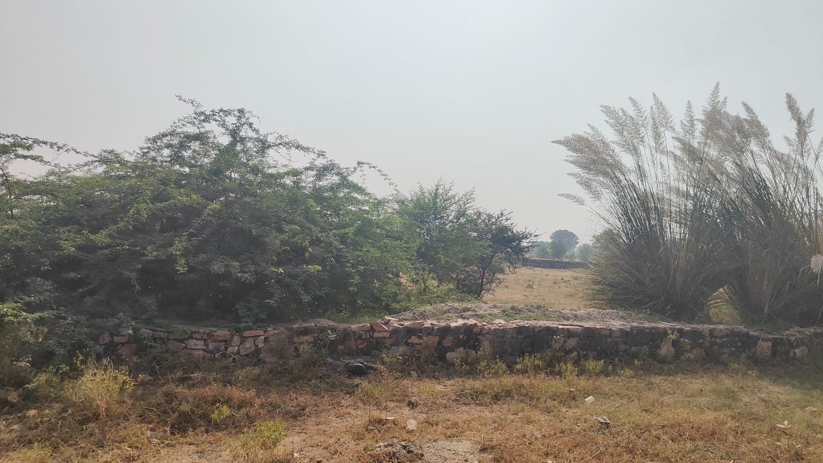 500 square yard, JDA, South East, Commercial plot is available for sale at Jagatpura — photo 1