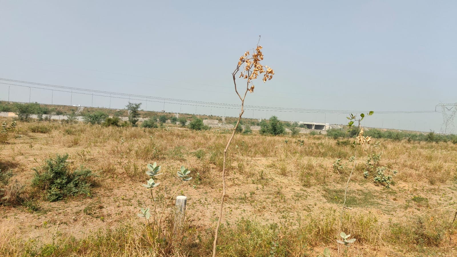 313 square meter, JDA, South, Commercial plot is available for sale at Ring Road — photo 1