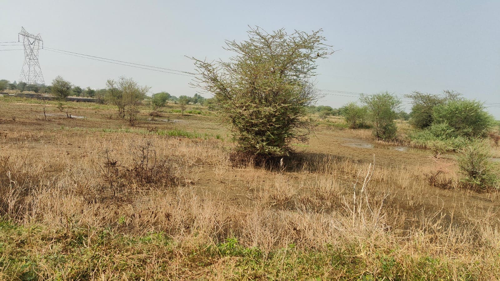 180 square yard, JDA, East, Residential plot is available for sale at Jagatpura — photo 1