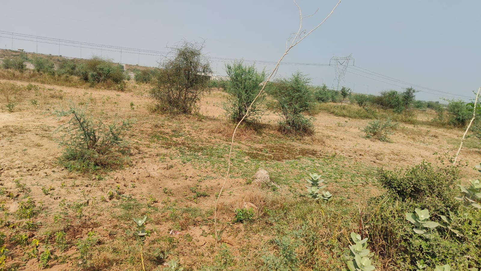 311 square yard, JDA, South East, Residential plot is available for sale at Jagatpura — photo 1