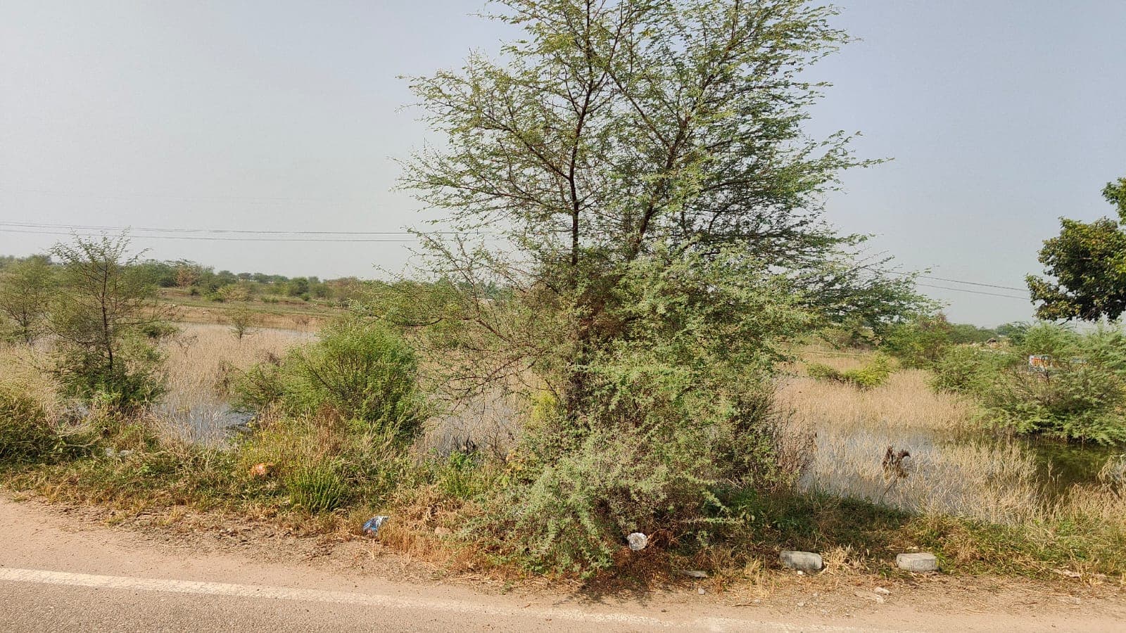 1250 square meter, JDA, North South, Commercial plot is available for sale at Ring Road