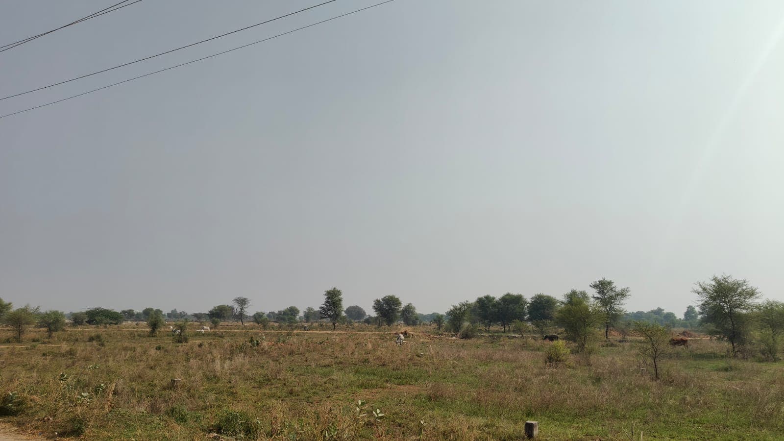305 square meter, JDA, North East, Commercial plot is available for sale at Ring Road