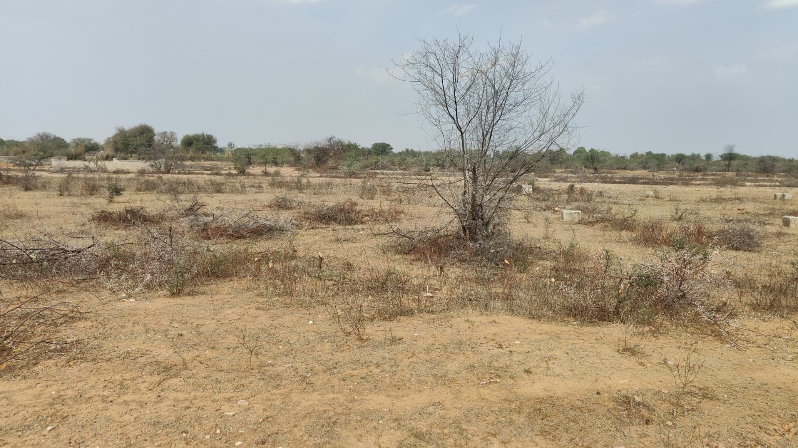 2140 square yard, JDA, South West, Commercial plot is available for sale at Jagatpura — photo 1