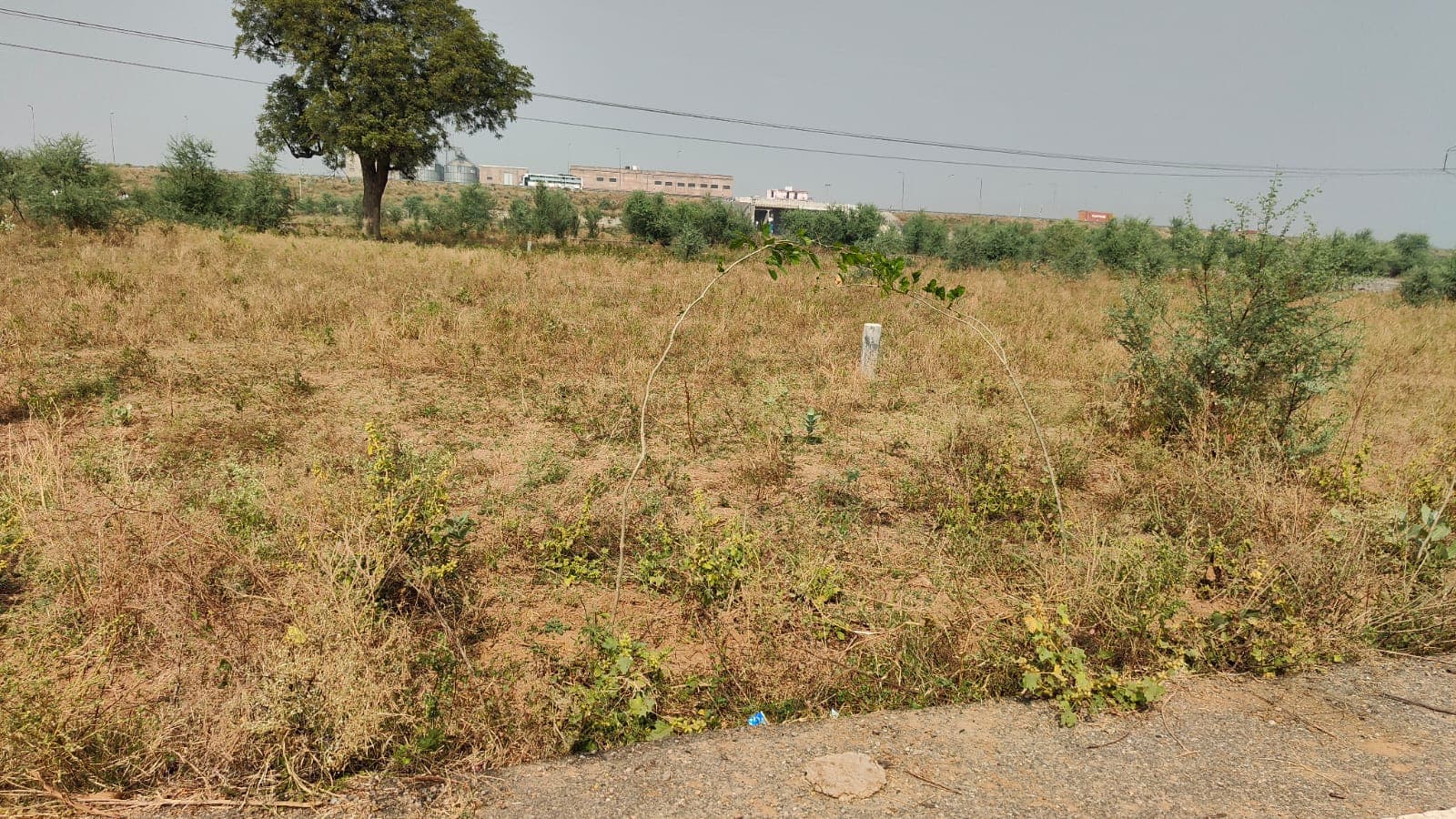 261 square yard, RIICO, West, Commercial plot ia available for sale at Jagatpura — photo 1