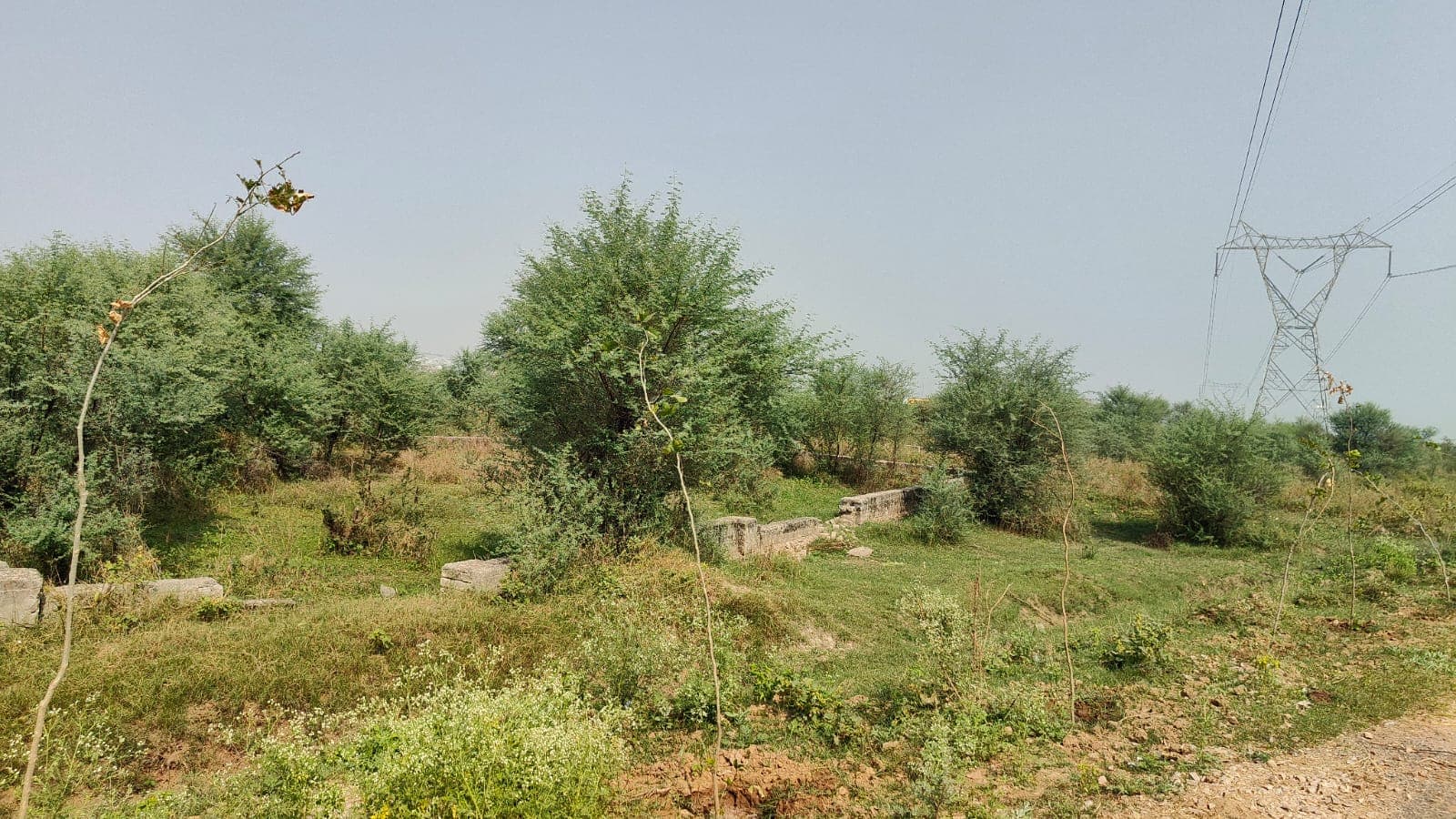355 square yard, JDA, West, Residential plot is available for sale at Jagatpura — photo 1