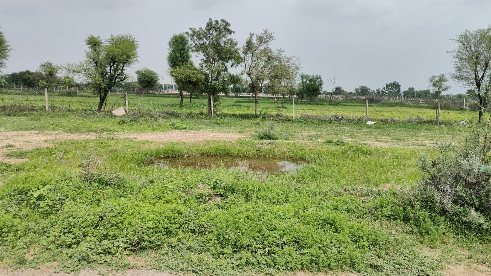 194 square yard, JDA, East, Residential plot is available for sale at Jagatpura — photo 1